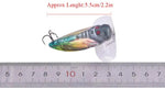 Topwater Fishing Lures Insect Cicada 3.5-5.5cm 4-7.5g