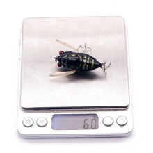 Carregar imagem no visualizador da galeria, Cicadas Fishing Lure 5cm 6g
