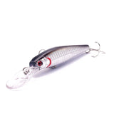 Floating Minnow Fishing Lure 12.5cm 14g