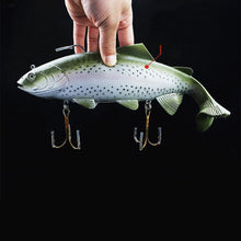 Carregar imagem no visualizador da galeria, 20/30cm 135g/400g Soft Sinking Fishing Lure
