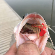 Carregar imagem no visualizador da galeria, 6pc Prawn Lure 7/13/19g 5/7/10cm
