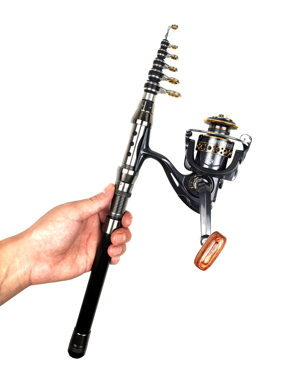 FBITE Black Carbon Spinning Fishing Rod Combo Telescopic Rod Reel Portable  Travel Fishing Set Carp Pike Stick 1.8-3m (Color : Rod and reel, Size 