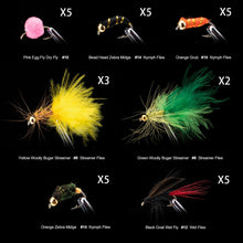 Load image into Gallery viewer, 100pc Fly Fishing Files Lure Set #8-#16
