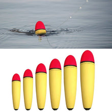 Load image into Gallery viewer, 5pc Bobber Fishing Floats 10g-60g
