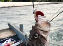 Carregar imagem no visualizador da galeria, 6pc Prawn Lure 7/13/19g 5/7/10cm
