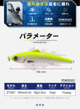 Topwater/Floating Lure 20cm 107g